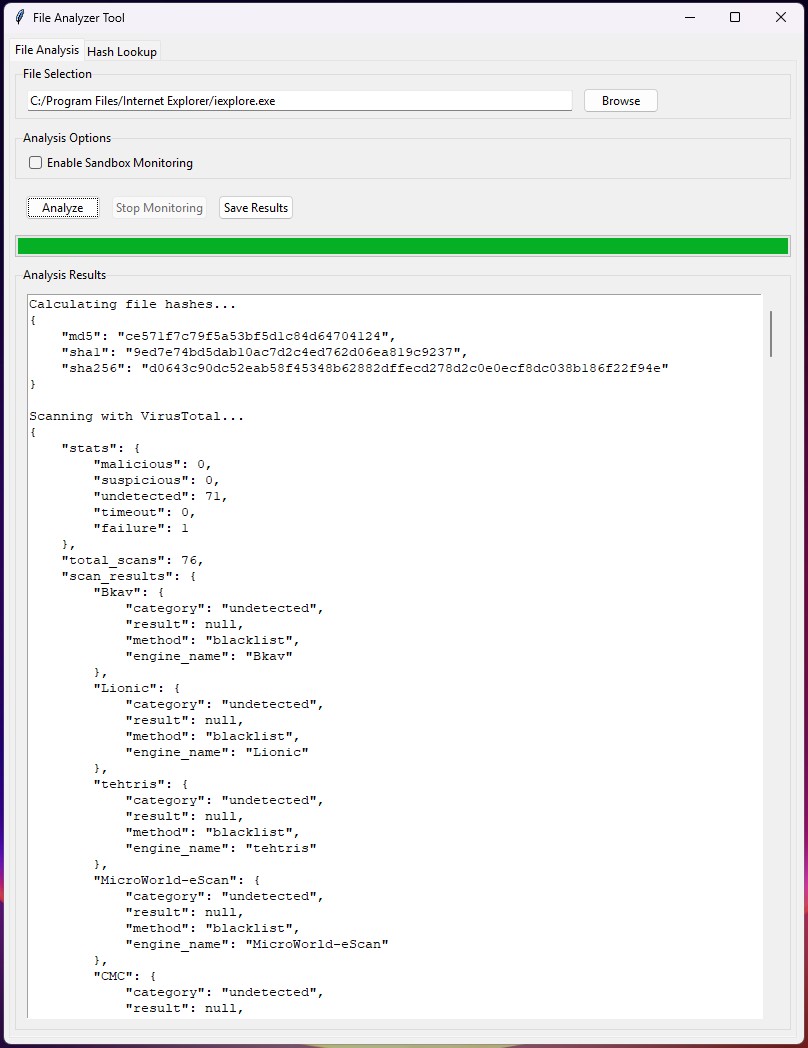 FileAnalyser Project Screenshot 1