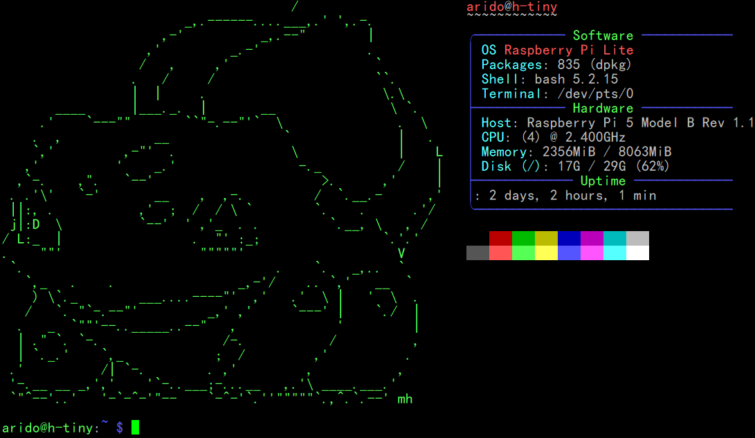 Raspberry Pi Home Server Neofetch